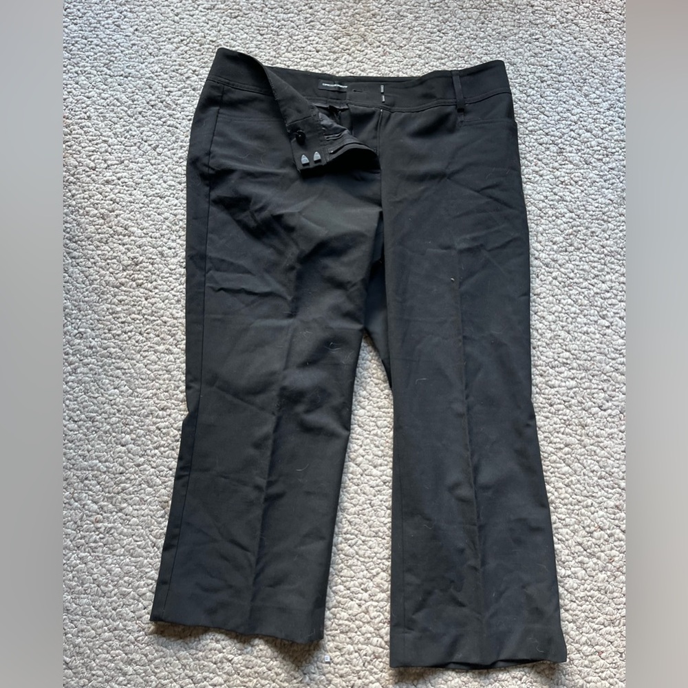 Express cropped editor pant
